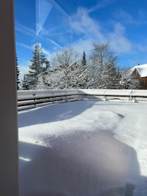 Harzer Weitblick Braunlage